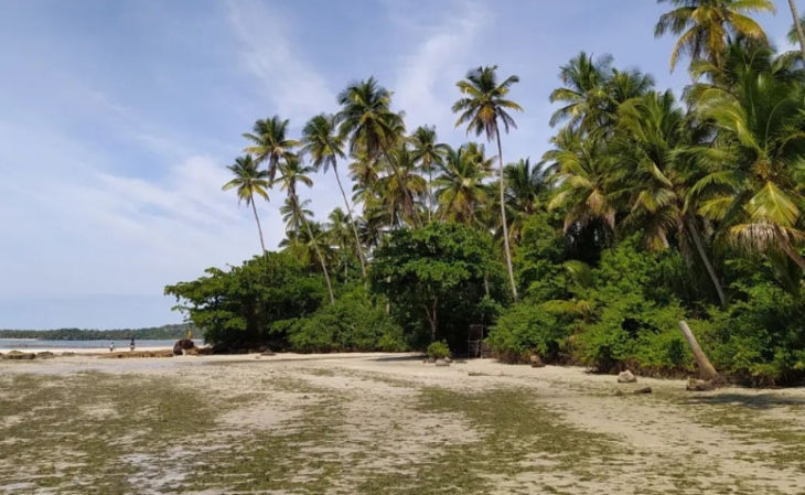 Praia do Tassimirim na Ilha de Boipeba