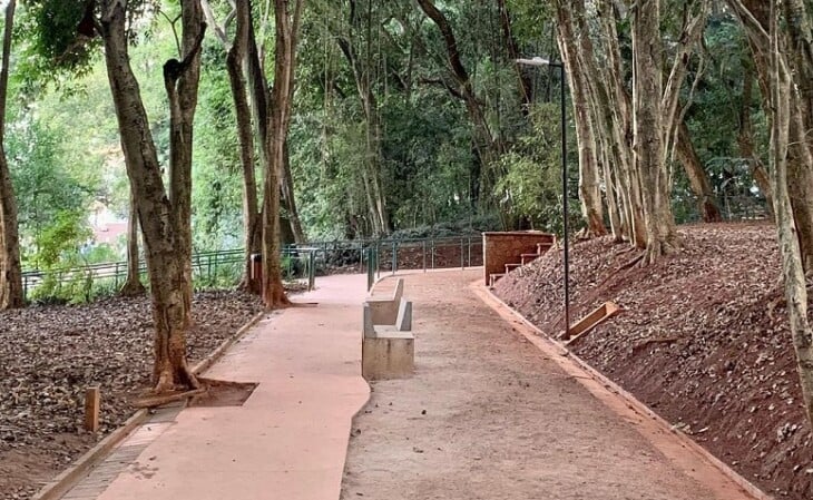 trilhas ecológicas no Parque Augusta