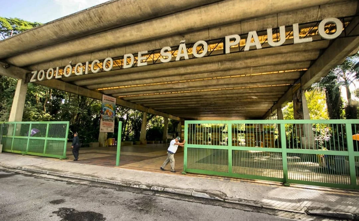 zoologico sao paulo safari