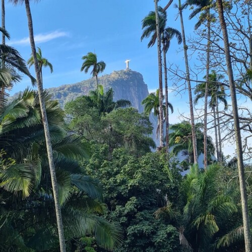 Jardim Botânico (RJ): como ir, principais atrações e dicas!
