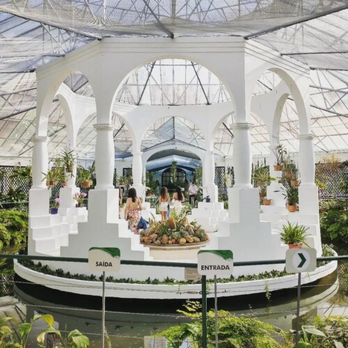 Jardim Botânico (RJ): como ir, principais atrações e dicas!