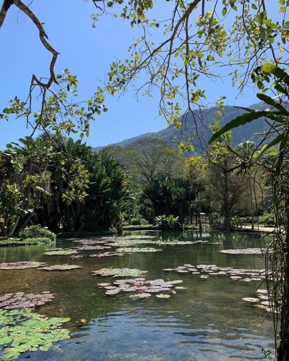 Jardim Botânico (RJ): como ir, principais atrações e dicas!