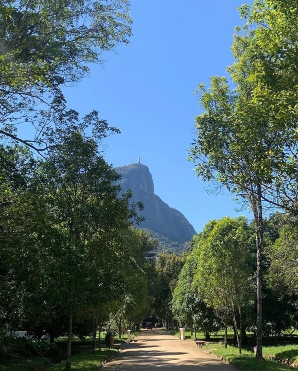 Jardim Botânico (RJ): como ir, principais atrações e dicas!