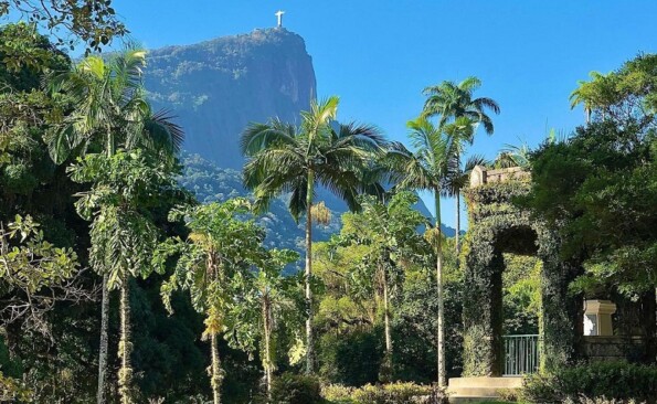 Jardim Botânico (RJ): como ir, principais atrações e dicas!