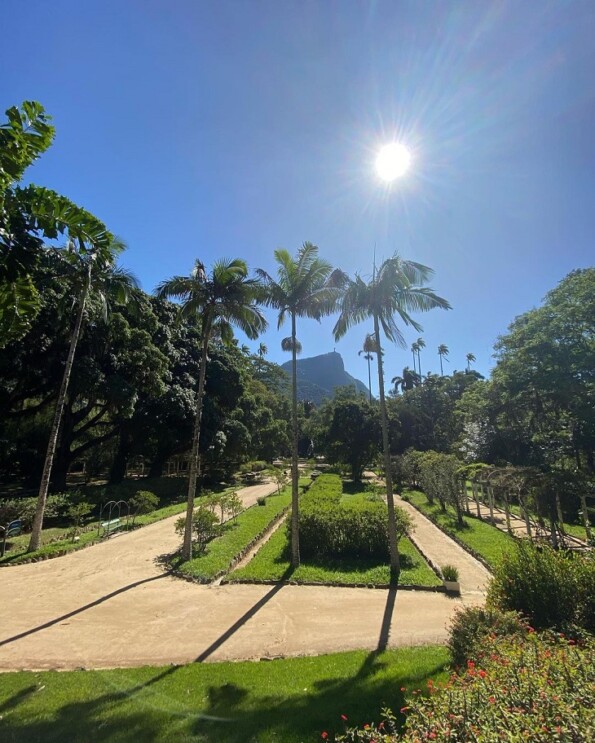Jardim Botânico (RJ): como ir, principais atrações e dicas!