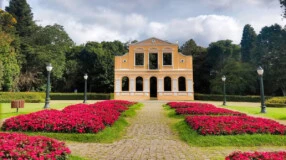 Bosque Alemão: guia de visitação para conhecer a magia dos contos de fada