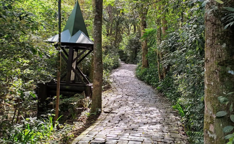 Trilha João e Maria no Bosque Alemão