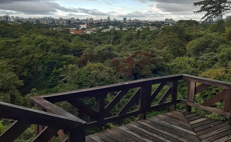 Mirante do Bosque Alemão