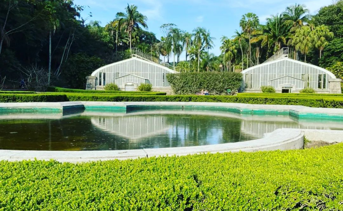 Jardim Botânico SP: 10 pontos IMPERDÍVEIS para sua visita