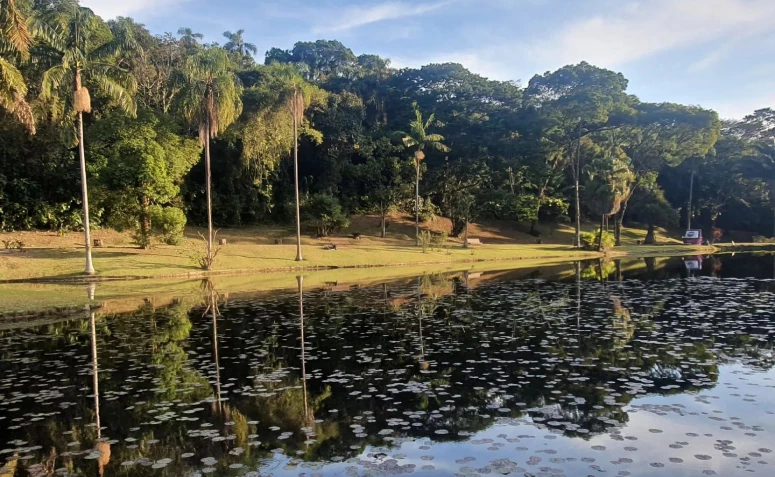 Lago das Ninfeias no Jardim Botânico de SP