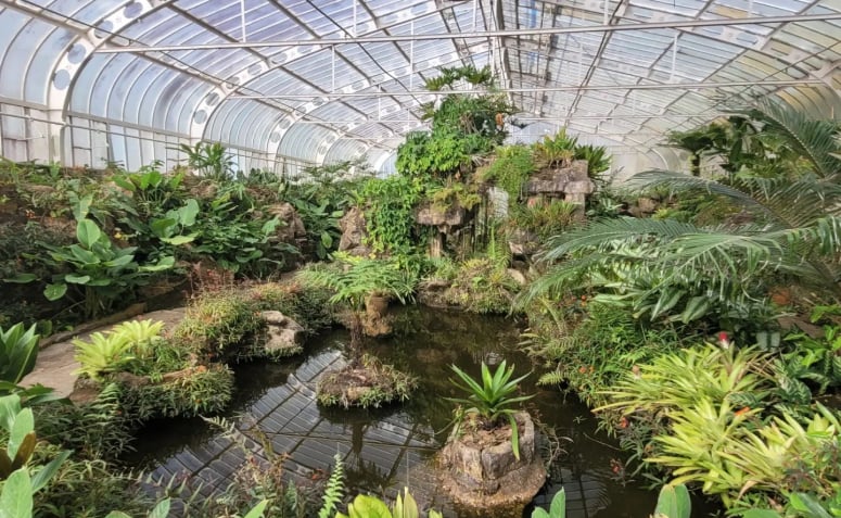 Estufa de Plantas no Jardim Botânico de SP