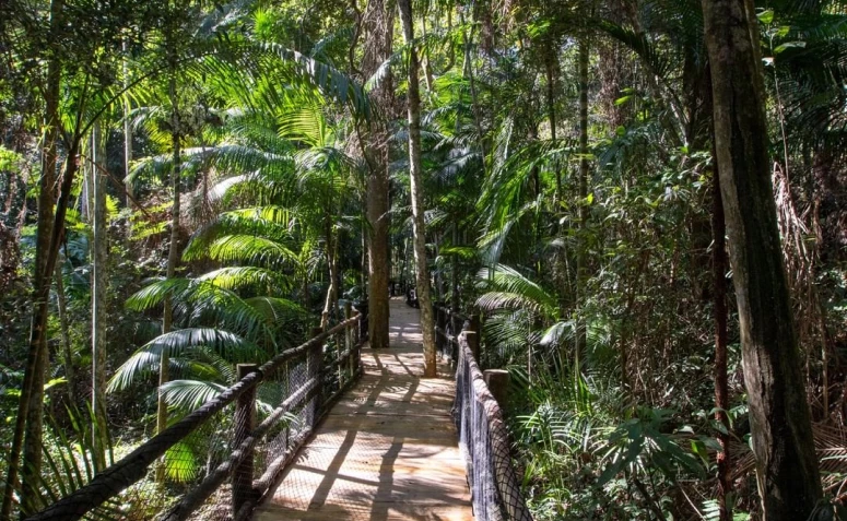 Trilha da Nascente no Jardim Botânico de SP