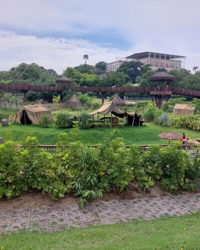 BioParque do Rio (RJ): passeios, informações, vídeos e dicas