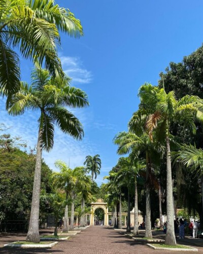 BioParque do Rio (RJ): passeios, informações, vídeos e dicas