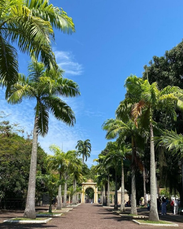 BioParque do Rio (RJ): passeios, informações, vídeos e dicas