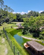 BioParque do Rio (RJ): passeios, informações, vídeos e dicas