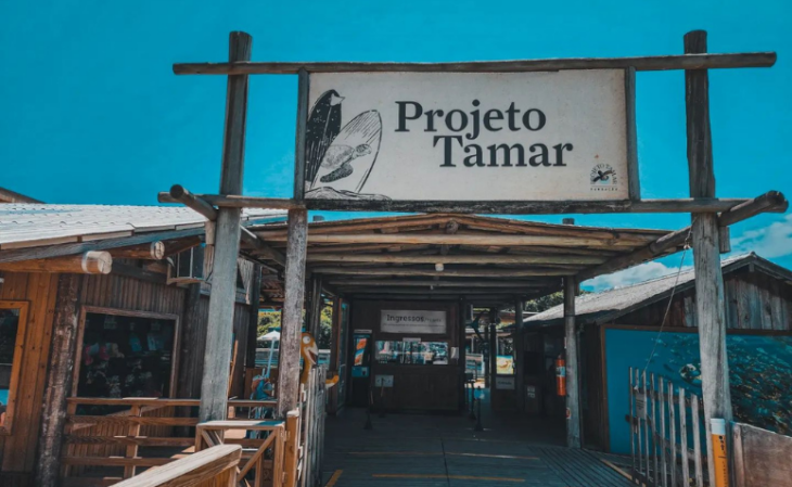 Projeto Tamar em Florianópolis
