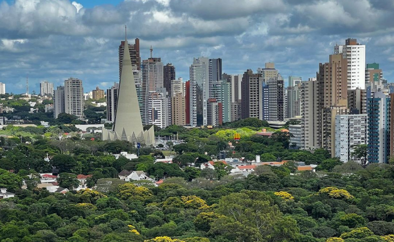 Arborização urbana de Maringá, com prédios e a Catedral ao fundo