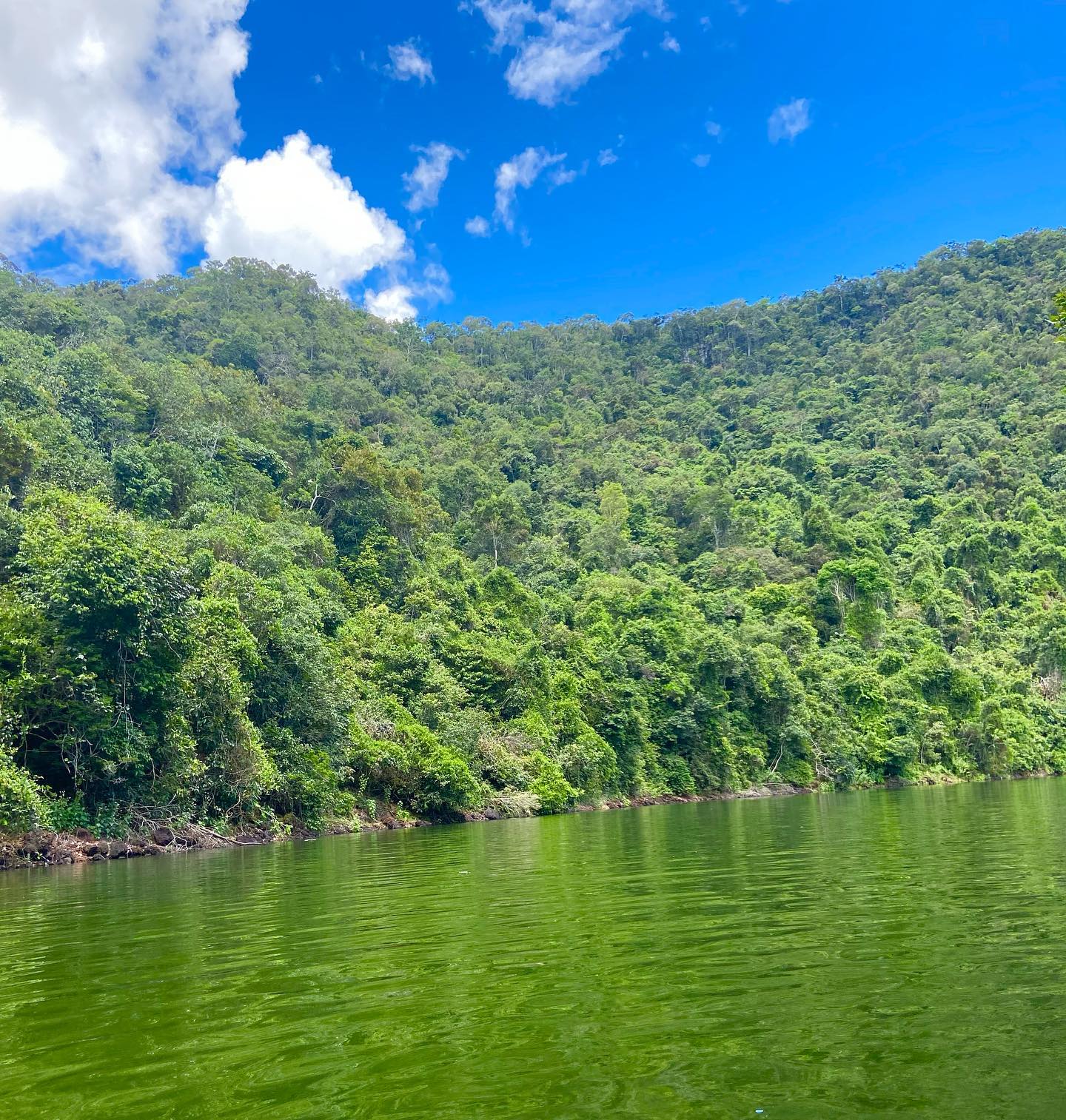 São Gabriel da Cachoeira: como chegar, onde fica e o que fazer