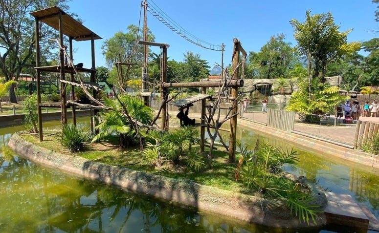 lago e plantas no BioParque do Rio