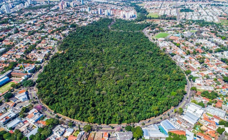 vista aérea do Bosque II em Maringá