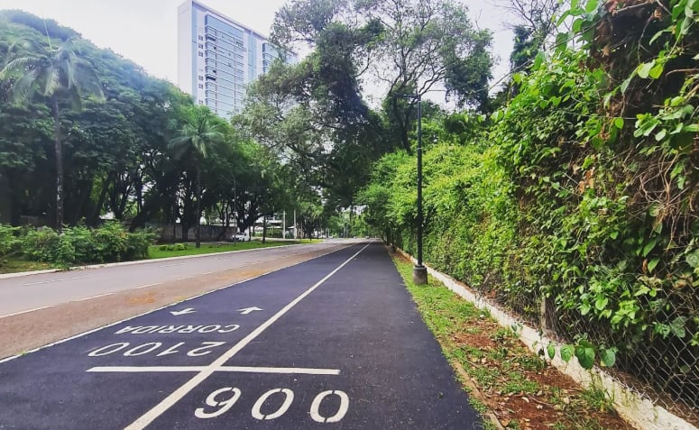 pista de caminhada ao redor do Parque do Ingá