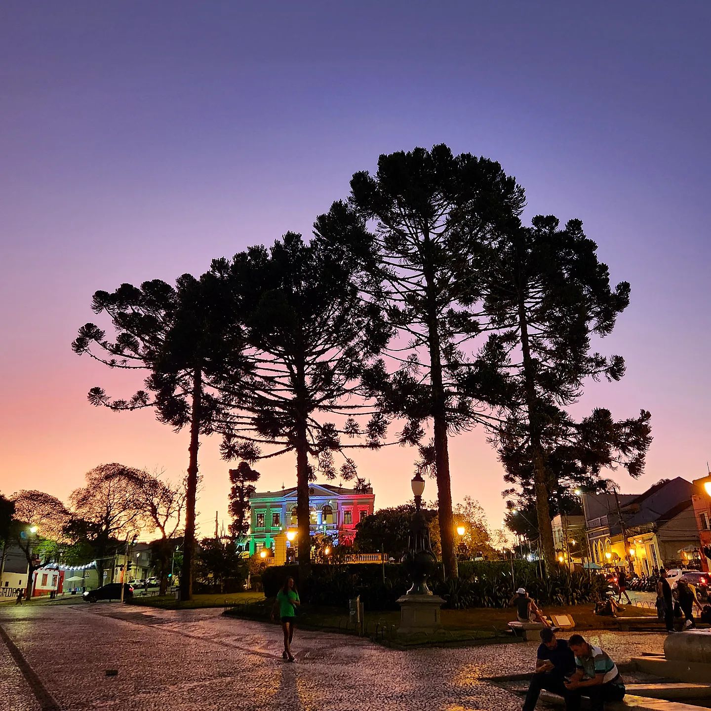 Araucárias vistas durante o anoitecer no Largo da Ordem