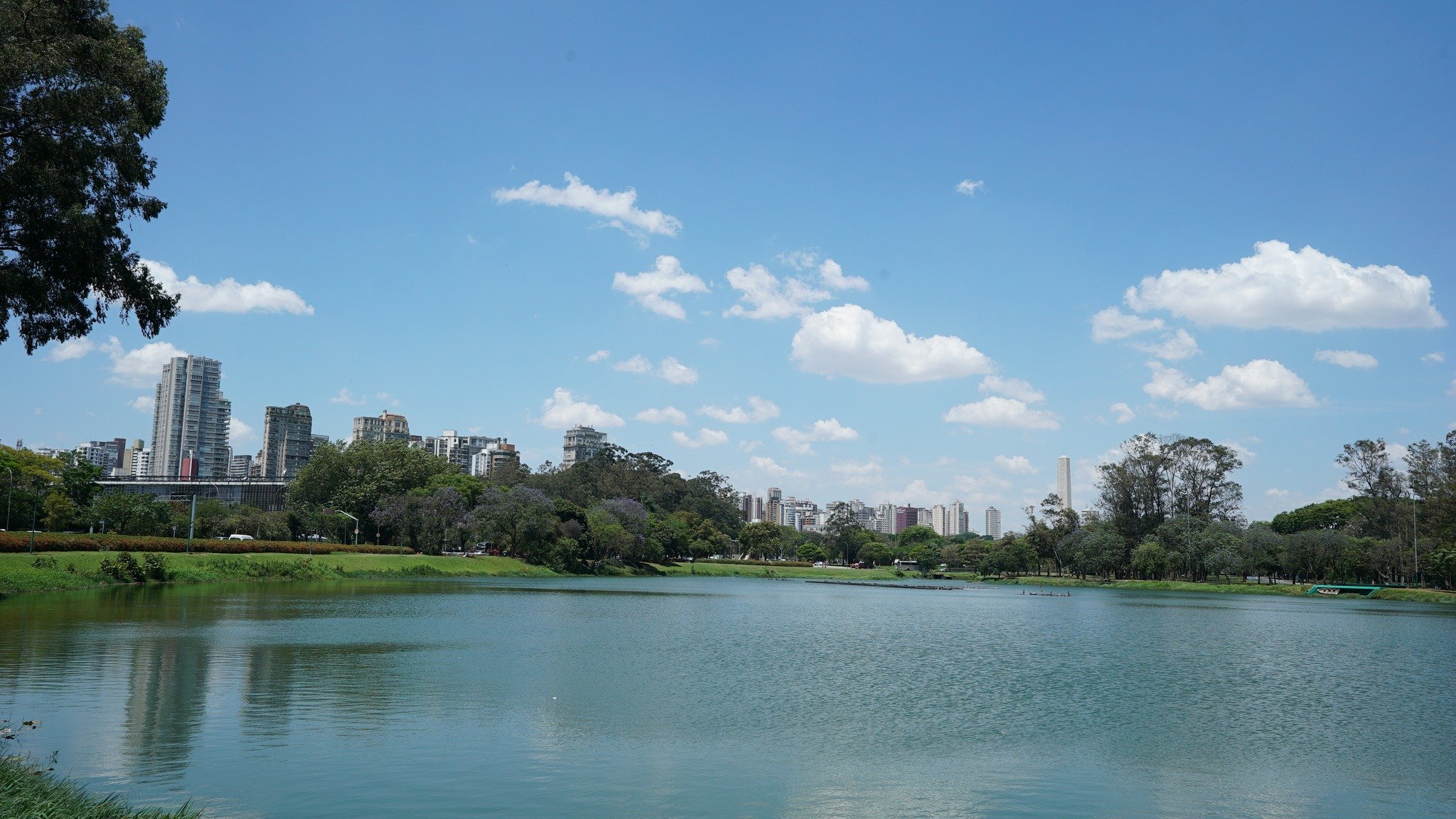 Parque Ibirapuera fotos