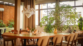 Imagem ilustrativa: 10 melhores restaurantes em Recife para degustar as delícias do Nordeste